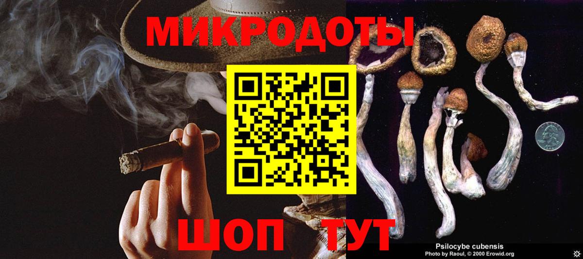 Домодедово  Псилоцибиновые грибы мухоморы  Вход с VPN 